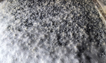 allwincity万象城(中国)有限公司官网