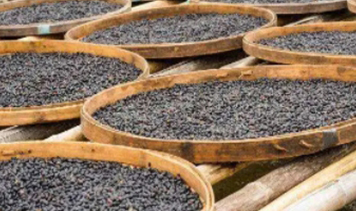 allwincity万象城(中国)有限公司官网