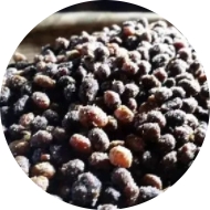 allwincity万象城(中国)有限公司官网